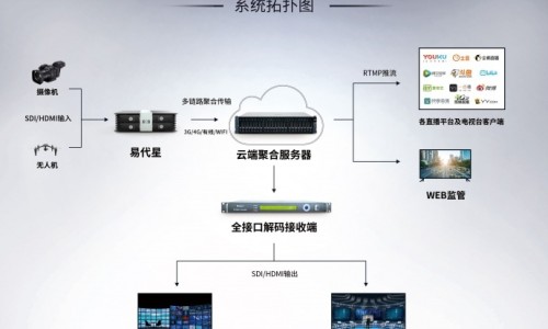 迷迭香药用网-分享迷迭香图片，迷迭香药用价值新闻知识库